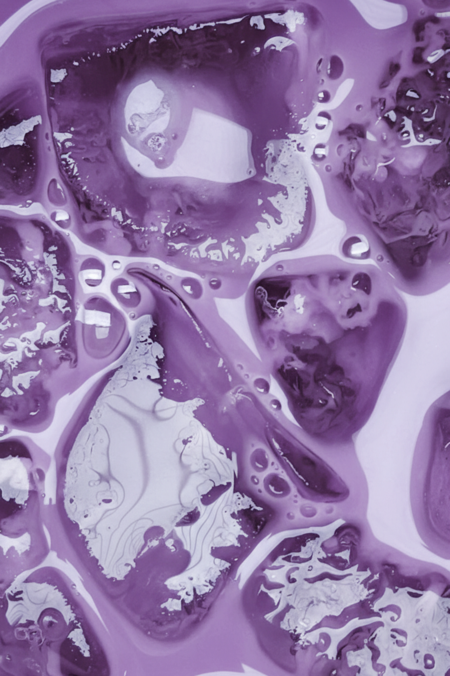 Poudre d’Ube Premium